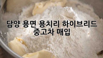 담양 용면 용치리 하이브리드 중고차 매입